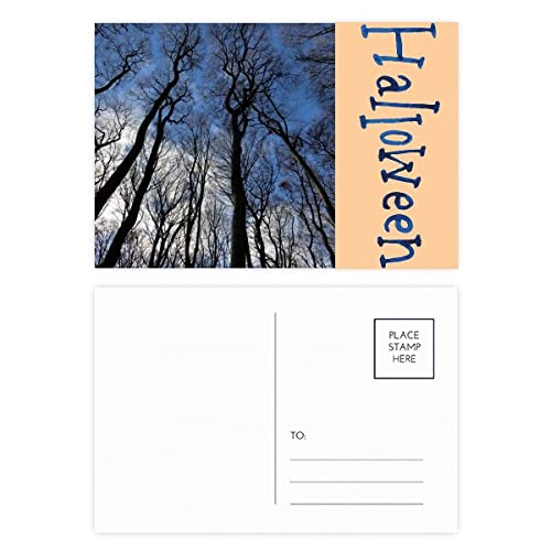 Cartes de remerciement Halloween forêt en lot de 20, papeterie élégante d'automne