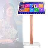 IROEJT Máquina de Karaoke con Pantalla táctil de 19, repro，White 3TB