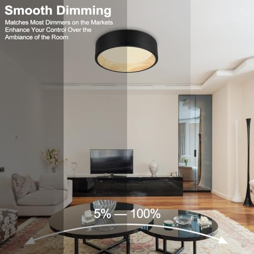 Image of DAKASON 12.5Inch Black LED Flush Mount Ceiling Light, 25W 1500LM 3CCT