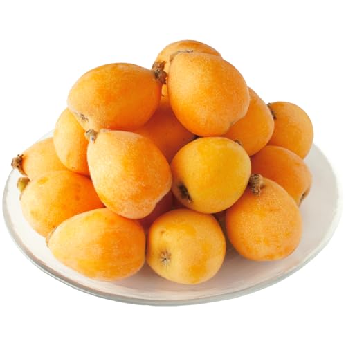 五色青果 初夏を感じる果物 香川県産びわ(なつたより) 約1.0kg[香川県共通返礼品]びわ 枇杷 なつたより 果物 フルーツ 人気 初夏 ハウス栽培 厳選 袋掛け 完熟 ジューシー 糖度が高い 先行受付 先行予約 季節限定 旬 おすすめ