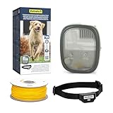 PetSafe PIG19-16413 - clôture anti-fugue filaire avec collier rechargeable - installation facile - étanche