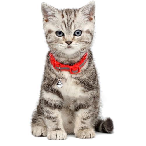 HJZHII 24 Stück Metall Jingle Bells, Hunde- und Katzenhalsband Glocke mit Schnallen Lauter Anhänger Haustierzubehör Verlieren Sie nicht Training Charms für Haustiere(Silber)