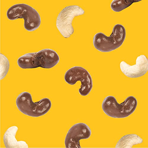 Milk Chocolate Covered Cashews, 1 Pound Pack - Thumbnail 2