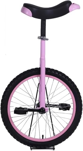 RoastMe 一輪車 子供用 16インチ 一輪車 5歳の小さい子ども学生用/男の子/女の子のために、 パーフェクト スターター 初心者 いちりんしゃ 無料でプレゼント (20インチ,ピンク)