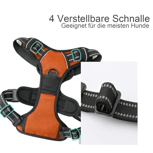 No Pull Hundegeschirr, Verstellbar Atmungsaktiv Reflektierend Weich Gepolstert Hunde Geschirr, Brustgeschirr für Hunde (Orange, M)