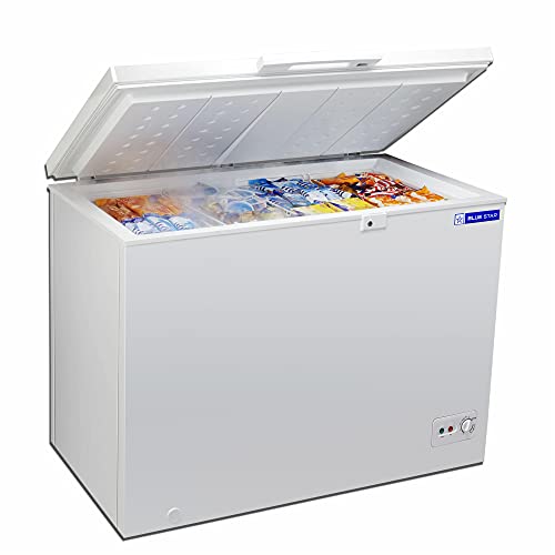 Image of BLUE STAR CHFSD100FHSW Single Door Deep Freezer (100 Ltrs, White)