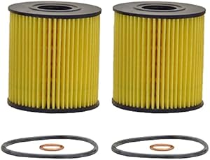 Wix Pair Set Of 2 Engine Motor Oil Filters For Mini Cooper Countryman Paceman 1.6L L4 DOHC 16 Valve GAS FI MFI F55 F56 R56 R60 R61 R55 R58 R52 R57 R59