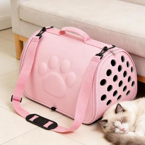 Sac de sortie respirant pour chiot et chat voyage avion