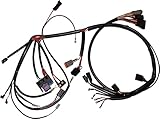 Namz NHD-70153-99 Sportster Complete Bike Harness