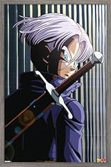 Barnwood Framed Version