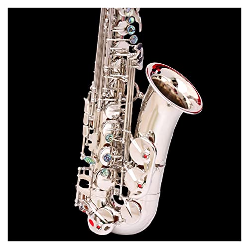 TSTS _uL[ Rib-e-Drop Alto Saxophone ͏SҐlptH[}XɓKĂ܂ ^JTbNX tLbg(J[: 6)