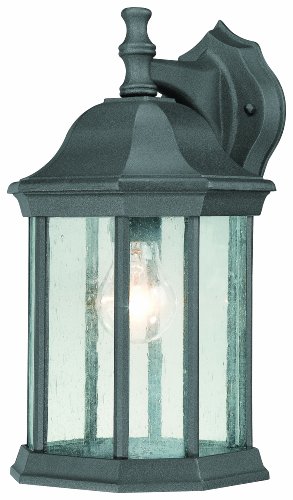 Thomas Lighting SL94527 Hawthorne Outdoor Wall Lantern, Black