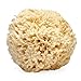 LATHER Natural Sea Wool Sponge - a body sponge for use with your favorite soap or body wash
