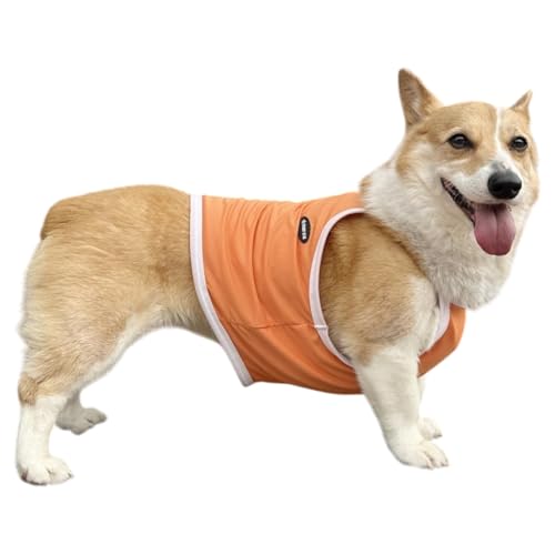 D DOGGY STAR コーギー服 2XL 接触冷感 ひんやり クール スポーツ クロップド タンクトップ 中型犬 大型犬 夏ドッギースター (オレンジ, 3XL)