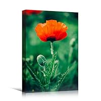 Canvas Wall Art Red Fields Bohemian Colorful Floral Group Multicolor Photography - 12x18 inches
