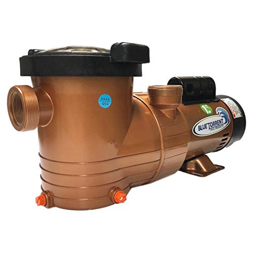 Blue Torrent Pumps Copper Force Above Ground Swimming Pool Pump with Timer with 2 Year Warranty Included, 1.5 HP