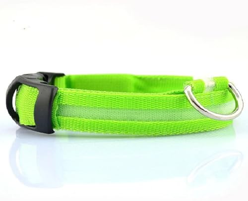NAKOSITE LED Leuchthalsband Hund + Hundepfeife + Clicker Hund – Verstellbare Größe, 3 Lichtmodi, Hohe Sichtbarkeit bis 500m, Nachtsicherheit für kleine bis große Hunde (Grün)