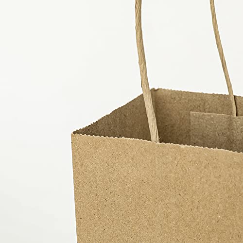 Oikss 100 Pack Kraft Paper Bags