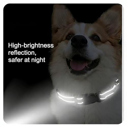 Collar Reflectante de Nylon para Perros Pequeños a Grandes miniatura 5