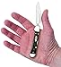 Case WR XX Pocket Knife Jigged Buffalo Horn Mini Copperlock Item #65022 - (Bh1749L SS) - Length Closed: 3 5/8 Inches