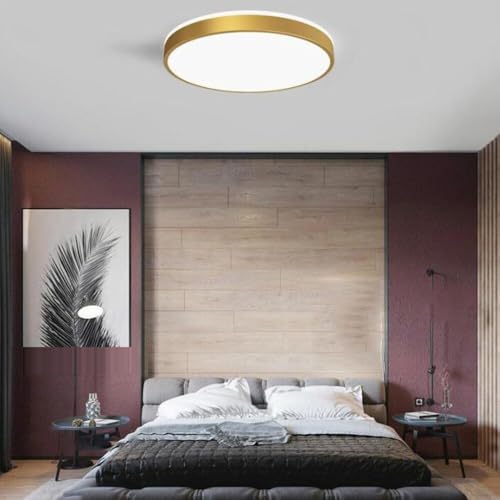 Plafón LED de techo moderno con diseño delgado y regulación de tres colores para salón 4