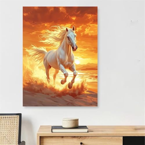 Tableau decoration murale peinture par numero adulte cadre pour grand salon