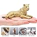 THINKBAY 6PCS Lion Toys Figurines Pride, African Jungle Animals Lion Family, Realistic Zoo Animal Toys, Preschool Toy Birthday Gift Cake Toppers for Kids Boys Girls