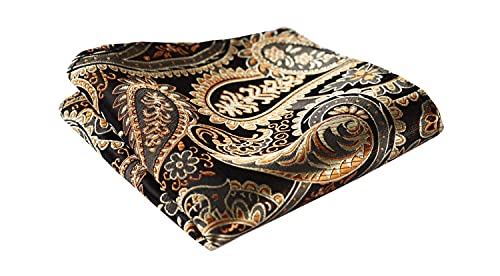 HISDERN SetSense Men's Paisley Jacquard Woven Self Bow Tie Set One Size Gold/Brown