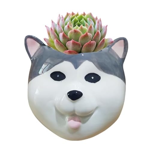 Cuteforyou Vasos de suculentas, lindos vasos de flores em forma de cachorro, porta-lápis, acessórios de mesa, suporte de armazenamento de pincéis de maquiagem, utensílios de cozinha e gadgets