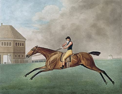 Image sur toile Baronnet George Stubbs, affiche impression d'art murale grand format 60x90