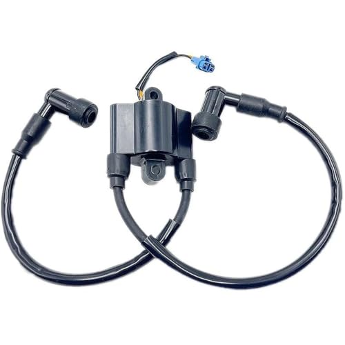 Bobine d'allumage DF15A DF20A pour naviguer en mer sereinement avec votre bateau 4 temps