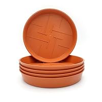 pflanztpfe kaufen Kleinen Pflanztopf Betoneffekt kaufen  Green Me Up