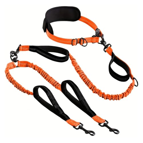 2{̌p[VAEGXgxgtpbhnhA_upփ[VA^A^A^AWMOAjOAEH[LOɑΉ(Orange black)