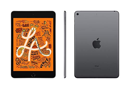 iPad Mini 5, Tela 7.9
