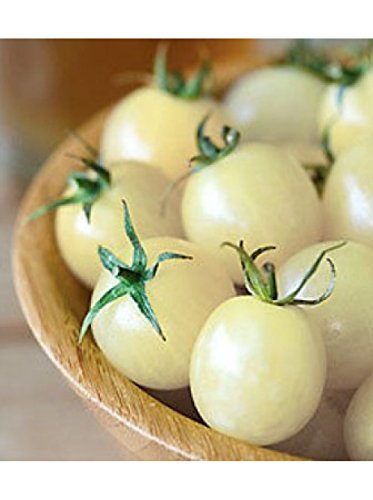 Seedsup - 50+ Snow Cherry Tomato - Vegetable White #TOP5