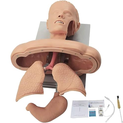 Advanced Oral Nasal Intubation Manikin with Tooth Alarm