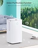Dehumidifier 12L, Dehumidifiers for Home Damp with 1-24H Auto-off Timer, Humidity Setting, Drainage Hose, Quiet Dehumidifiers for Laundry Drying, Ideal for Bedroom/Basement, Auto Defrost, Low Energy - Image 2