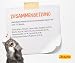 JOSERA Nassfutter Kitten Salmon (6 x 200 g) | Kitten | Premium Katzenfutter nass für wachsende Katzen | Lachs & Pastinake | mit Lachsöl | getreidefrei | Anti-Haarballen | Alleinfutter | 6er Pack