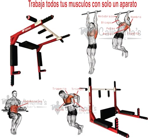 La Mejor comparativa de Barra bíceps disponible en línea. 29 Imagen adicional