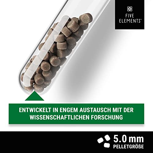 Koifutter Five Elements Koi Sink Plus 1,4 kg für Teichfische