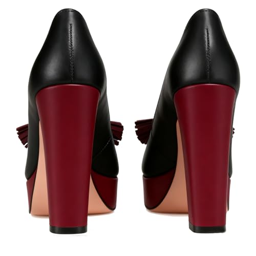Image of SHODENSE Women Vintage Chunky Platform Loafers Pumps Tassel Round Closed Toe Slip On Suede Block High Heel Dress Loafer Shoes Buckle Strap Oxford Loafers Fringe Pump Dressy Chic Sexy Y2k 4-11 M US