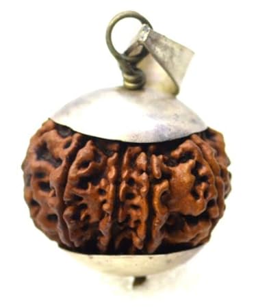 Nav Mukhi Rudraksha Original And Natural Nepali IGL Lab Certified ? With Dhaga Nepal Brown Bead Nine Face Rudraksha Blessed By Maa Durga Ka Rudraksha For Men & Women By Feel Touch Mart