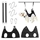 DUGEGAYL Katzenkrallen Schneider,4Pcs Präzise Haustierpflege, Doppellagiges Design, Komplettpaket für Haustierpflege zu Hause