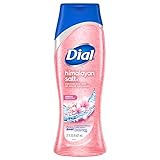 Dial Skin Therapy Body Wash, Himalayan Salt, 21 Ounce (Pack of 6)