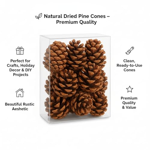 Smizzy Christmas Decorations Ornaments (Pack of 12) Natural Wooden Pine Cones| Brown Pinecone for Xmas Tree Decor | Cone Gift for New Year Festival | Party Decor | Wedding Hanging
