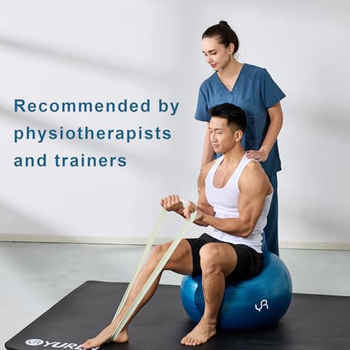 Image of Exercise Ball for Workouts, Anti-Burst and Slip Resistant Yoga Ball for Gym Fitness and Physical Therapy (Dark Blue)