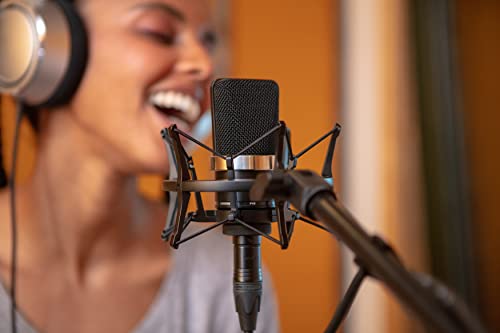 Image of Neumann TLM 102 Large‑Diaphragm Condenser Microphone | Cardioid Pattern | 20 Hz-20 kHz | High SPL Handling | Ideal for Studio Vocals, Instruments & Broadcast Recording