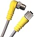 Sealcon SJFFDFMC08M12100D M12 Cordset, 8 Pole, Male Right Angle/Female Straight, 10 M