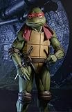 Fruviou ТМИТ Movie Series 6.5 inch Action Figures Classic Collection (Raphael) FV/4482