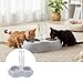 Syyavrrta Pet Double Bowl with Water Bottle for Cats and Small Dogs - Convenient Feeding Solution with Removable Dispenser
